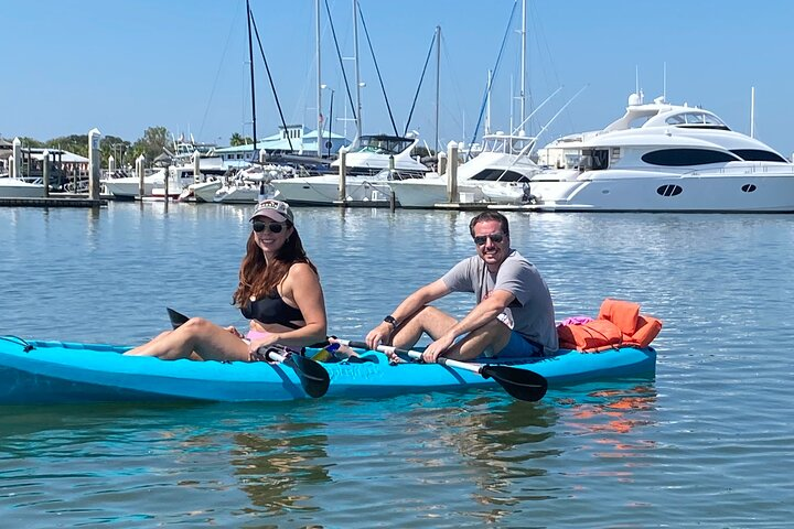 Dolphin, Manatee and SeaTurtle SUP Adventure Tour of St Augustine - Photo 1 of 21